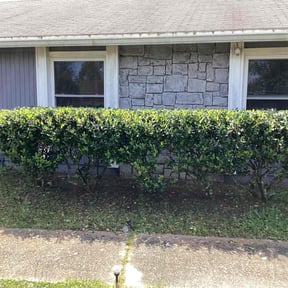 Bush Trimming by Jeff's LawnCare Service reviewed on August 17, 2025