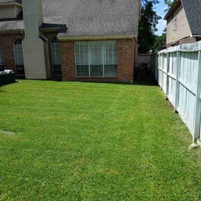 landscaping services by Tiaras Lawn care reviewed on November 3, 2020