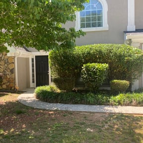 Bush Trimming by Perspective Solutions LLC reviewed on October 20, 2025