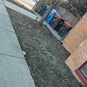 Leaf Removal by JM Landscapes reviewed on September 18, 2025