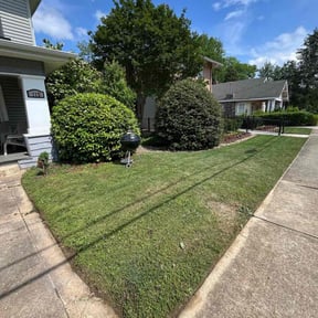 turf care by Green Earth Lawn and snow LLC reviewed on November 15, 2023