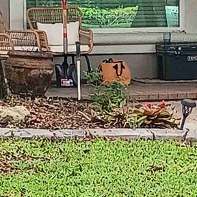 Flower Bed Weeding by Northeast Dealflow reviewed on June 11, 2026