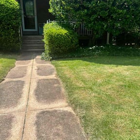 Bush Trimming by Mid-Atlantic Home Maintenance reviewed on August 15, 2025