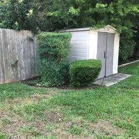 Bush Trimming by Front2Back Lawn Care Services reviewed on August 21, 2025
