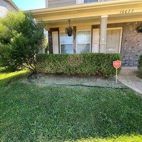 Bush Trimming by P&D Landscaping. reviewed on August 15, 2025