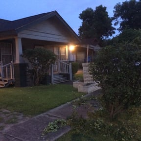 Bush Trimming by B&C Lawn and Landscaping LLC reviewed on August 17, 2025