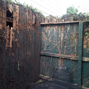 Bush Trimming by Anthill Landscaping reviewed on August 21, 2025