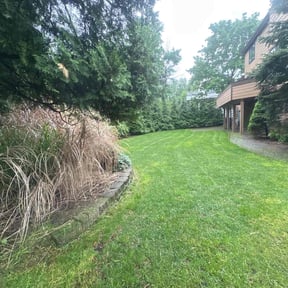 lawn maintenance by MRG Lawn Services reviewed on March 8, 2024