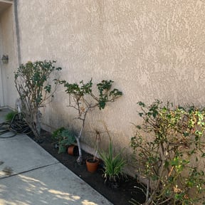 grass maintenance by Dapper Landscapes reviewed on August 22, 2024