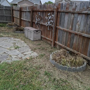 Bush Trimming by Little Services reviewed on August 19, 2025