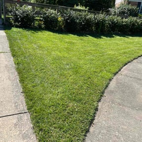 grass maintenance by Atomic lawn care reviewed on May 1, 2025