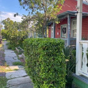 Bush Trimming by LS lawncare reviewed on August 19, 2025