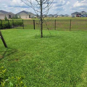 gardening service by Jean Claude Zephirin reviewed on December 11, 2025