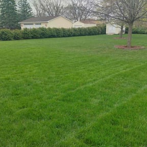 yard care by IMPAKT Lawn Solutions reviewed on August 16, 2025