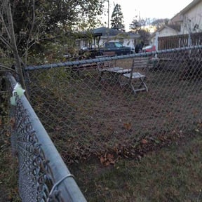 Leaf Removal by Top&amp;#039;s Lawn Care reviewed on November 21, 2025