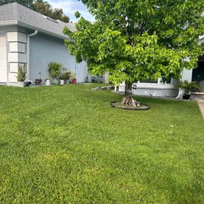 yard care by Heavens painting &amp;lawn care llc reviewed on December 30, 2025