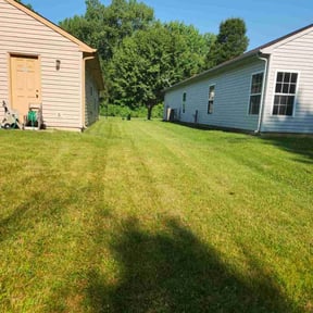 yard maintenance by Pearl Cleaning LLC reviewed on August 19, 2025