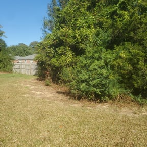 Bush Trimming by Precise Lines Lawn Care reviewed on August 15, 2025