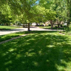 yard maintenance by Valerio’s Landscaping reviewed on August 19, 2025