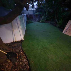 Leaf Removal by Almanza lawn care reviewed on March 1, 2026