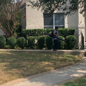Bush Trimming by Tovar Landscaping reviewed on August 15, 2025