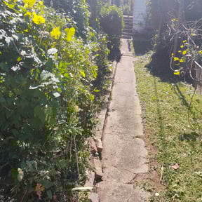 Bush Trimming by All Exclusive reviewed on August 18, 2025