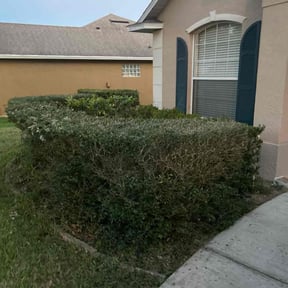 Bush Trimming by Turnerz Does it All reviewed on October 24, 2025