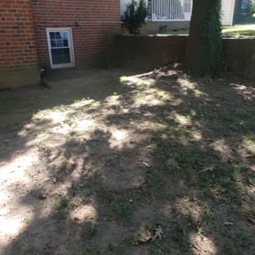 Leaf Removal by STR Lawn and Landscape LLC reviewed on September 18, 2025