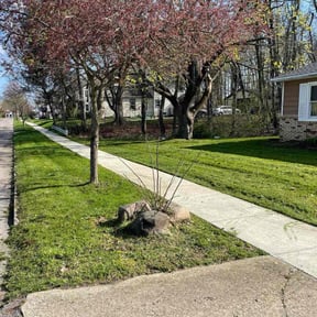 landscaping services by Kent Lawn Salon reviewed on August 18, 2025