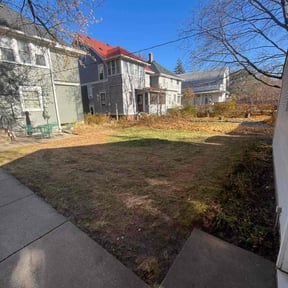 Leaf Removal by Cuts By coulter reviewed on November 22, 2025