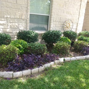 Bush Trimming by Myers Landscaping & Hauling reviewed on August 15, 2025