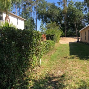 Bush Trimming by TorresLawnservice reviewed on June 28, 2022