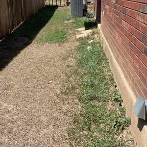 Bush Trimming by Mighty Mavericks Yard and Landscaping Heroes reviewed on August 21, 2025