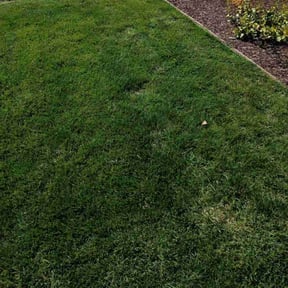 lawn service by G&M Landscaping Services reviewed on October 2, 2023