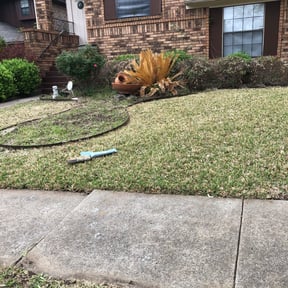 Leaf Removal by Lyons Pride Lawn Service reviewed on September 16, 2025