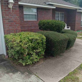 Bush Trimming by E&D landscaping reviewed on August 15, 2025