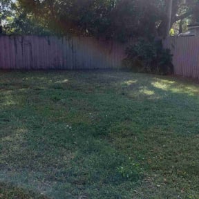 Leaf Removal by A&amp;L UpKeep reviewed on September 29, 2025