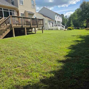 turf maintenance by Country Cuts reviewed on June 28, 2020