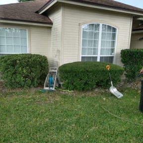 Bush Trimming by Lawn Impression reviewed on August 21, 2025