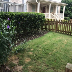Bush Trimming by kumler lawn care reviewed on August 15, 2025