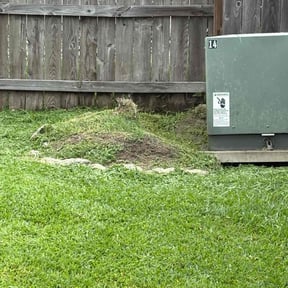 Flower Bed Weeding by Southern Scapes Lawn Service reviewed on August 21, 2025