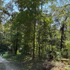 Bush Trimming by Watford Property Maintenance reviewed on August 24, 2026
