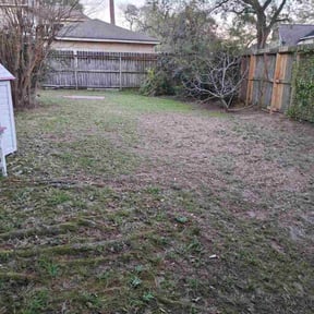Leaf Removal by McNeil's lawn care &amp; maintenance reviewed on August 27, 2026