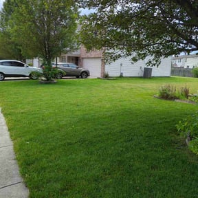 residential landscaping by DWB Lawn Care Services reviewed on August 17, 2025
