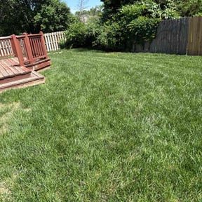 residential landscaping by Alan's Mowing reviewed on August 16, 2025