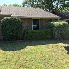 Bush Trimming by GET Tax Service reviewed on August 17, 2025