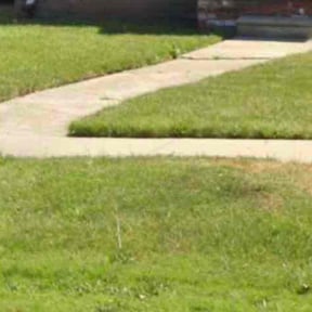 Leaf Removal by T&#039;s lawn care &amp; maintenance reviewed on September 6, 2025