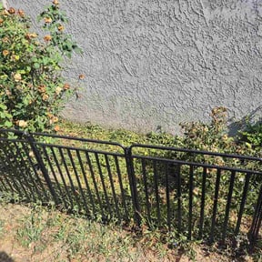 Flower Bed Weeding by Blevins Lawn Service reviewed on August 27, 2026