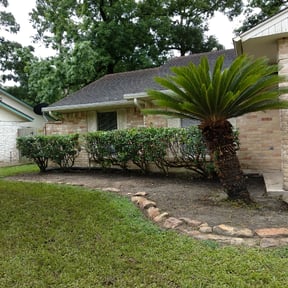 Bush Trimming by Becks home improvements reviewed on August 15, 2025