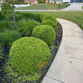 Bush Trimming by Edgar Elmore reviewed on August 15, 2025